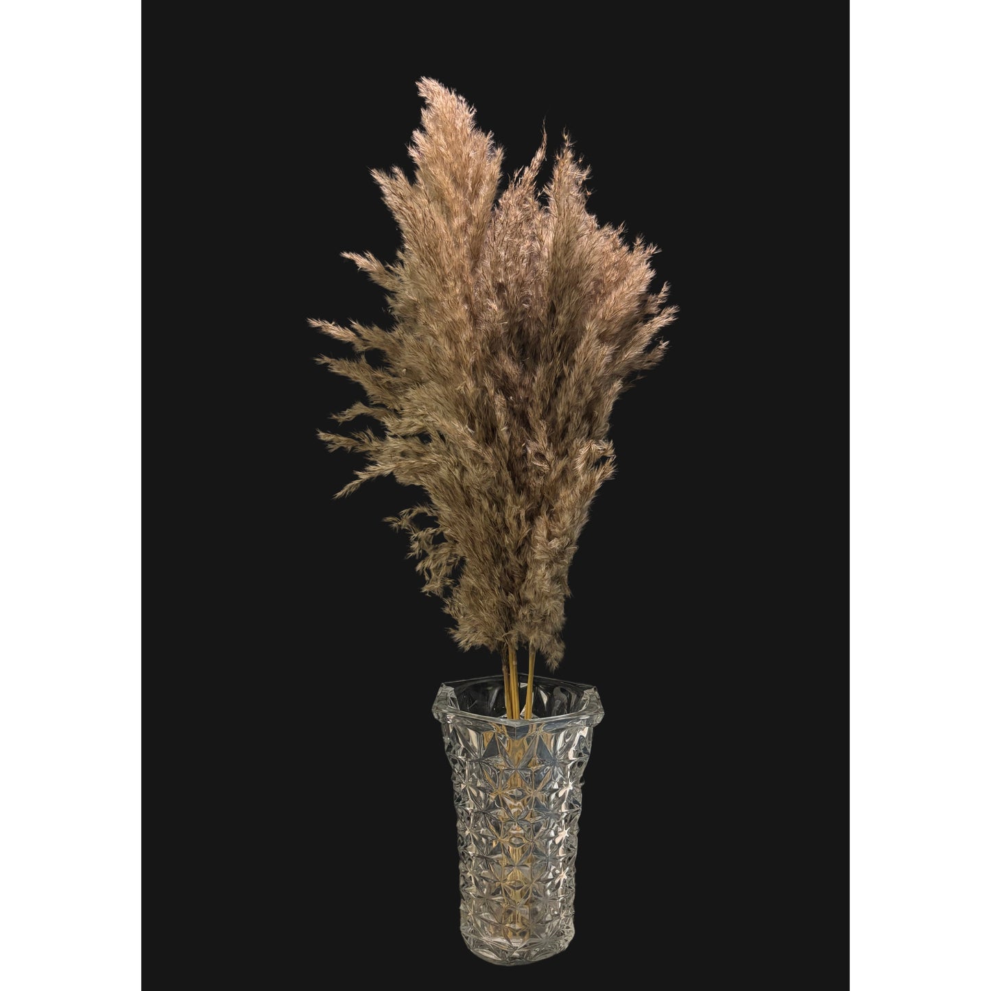 Fluffy Pampas