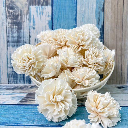 Sola Wood Carnation