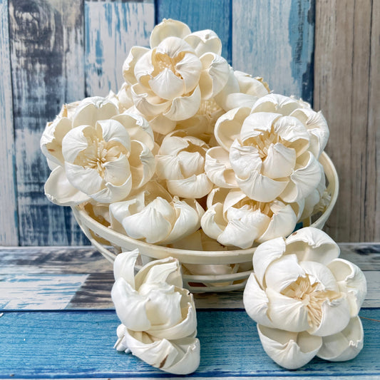 Sola Wood Peony