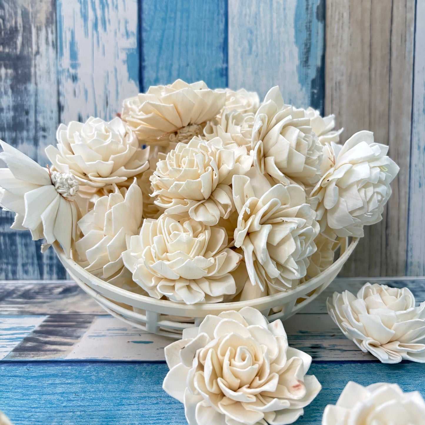 Sola Wood Dahlia