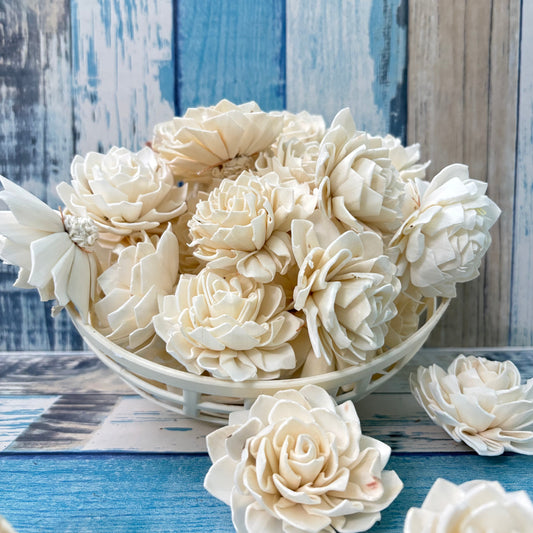 Sola Wood Dahlia