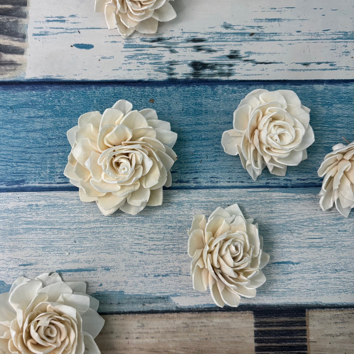 Sola Wood Dahlia