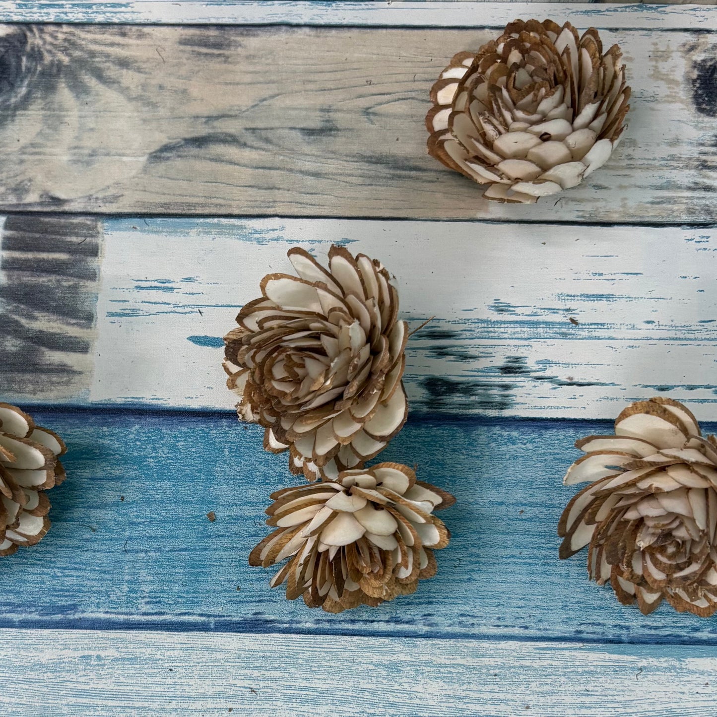 Sola Wood Almond Cut Flower