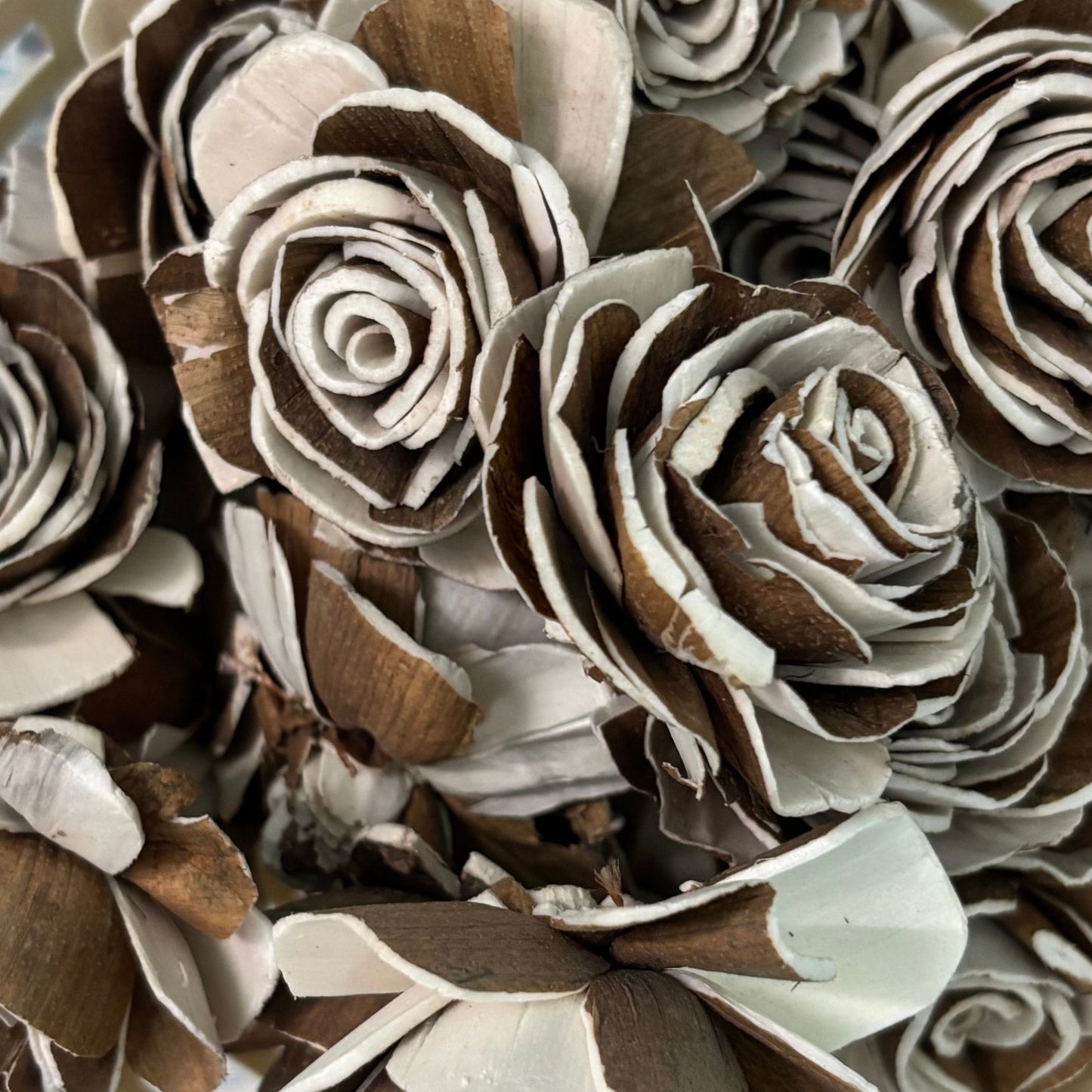 Sola Wood Skin Beauty Rose
