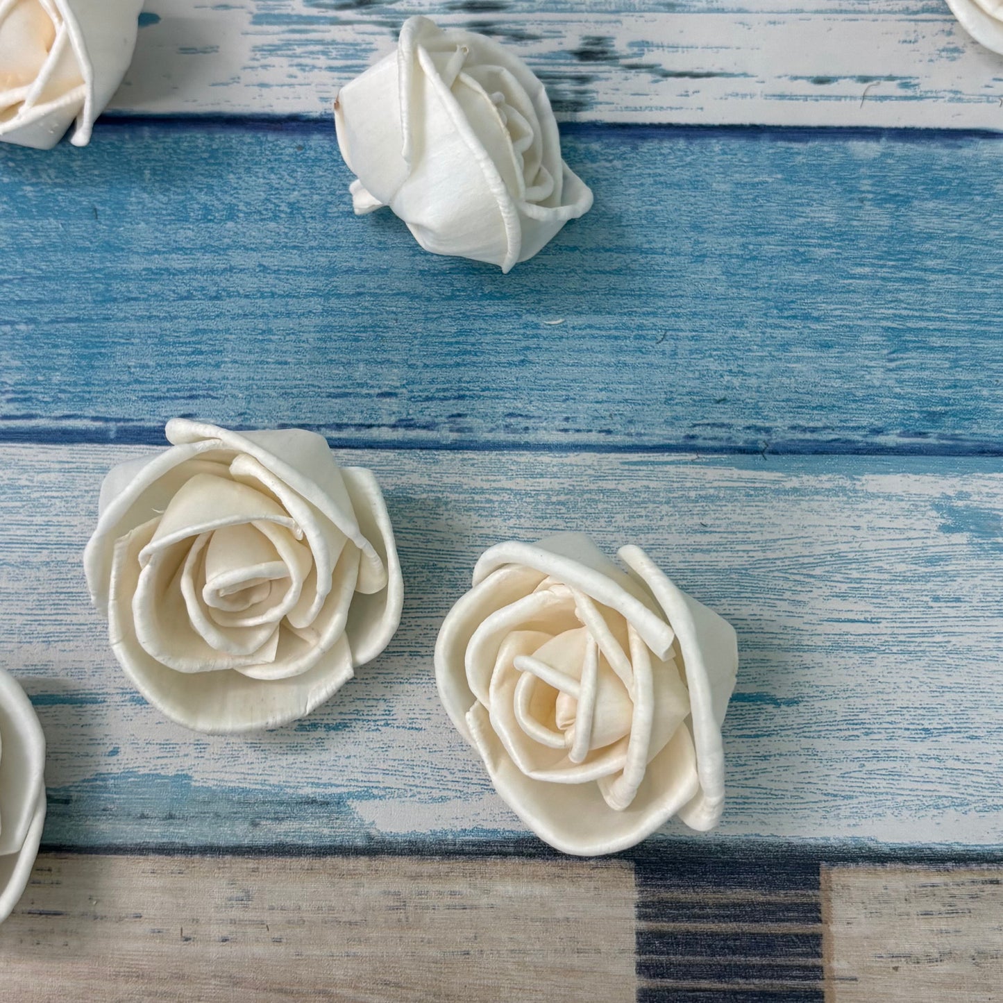 Sola Wood Rose